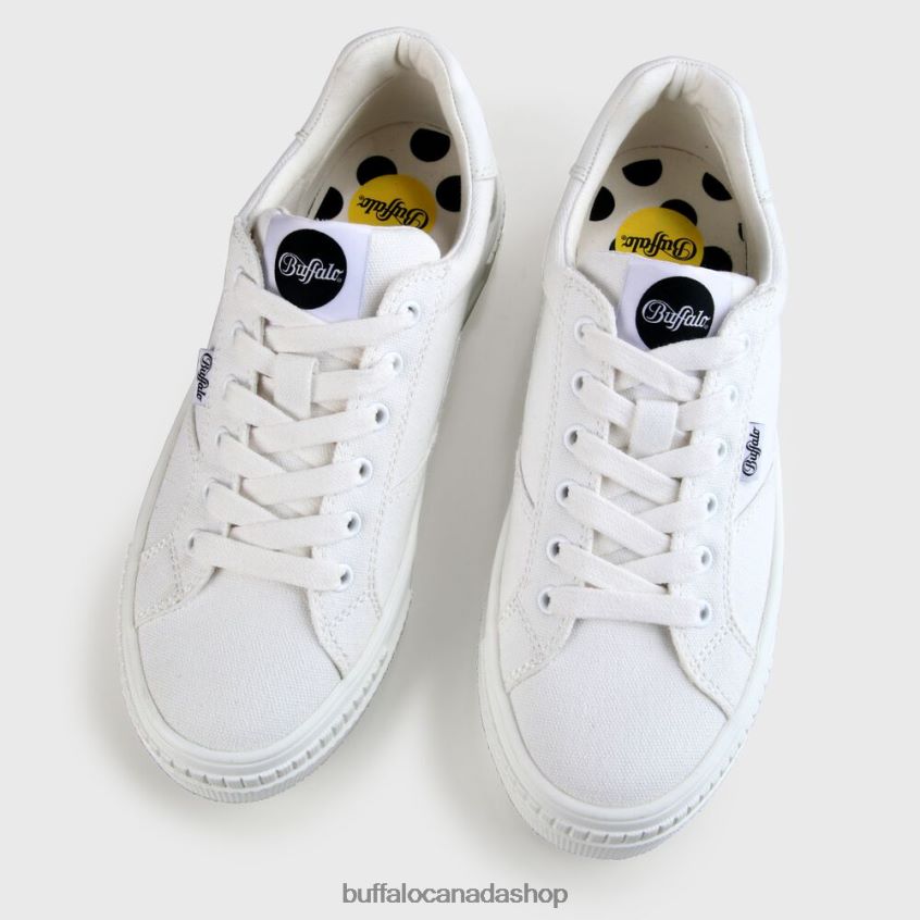 Paired Sneaker vegan White Buffalo ZL64TZ111 |Sneakers