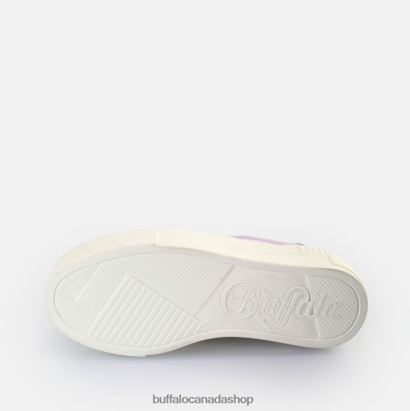 Paired Sneakers Low vegan Lavender Buffalo ZL64TZ116 |Sneakers